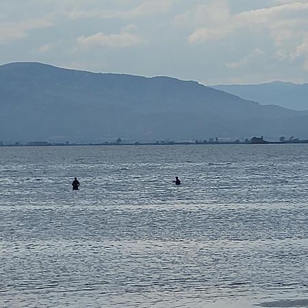 Penzion La Llar De Laura El Poblenou del Delta Exteriér fotografie