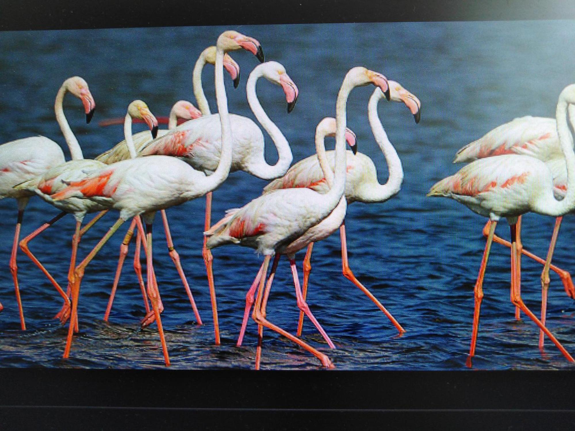 Penzion La Llar De Laura El Poblenou del Delta Exteriér fotografie